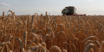 Cuenta Victoria con 50 mil hectáreas en agricultura