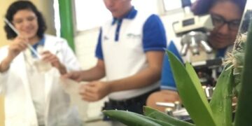 Baja nivel educativo en alumnos de CONALEP Tamaulipas