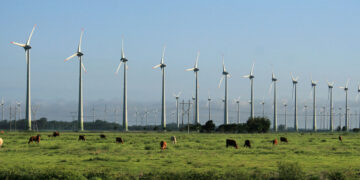 Tamaulipas busca el liderazgo en energía eólica