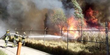 Al alza incendios de pastizales en Victoria: Protección Civil