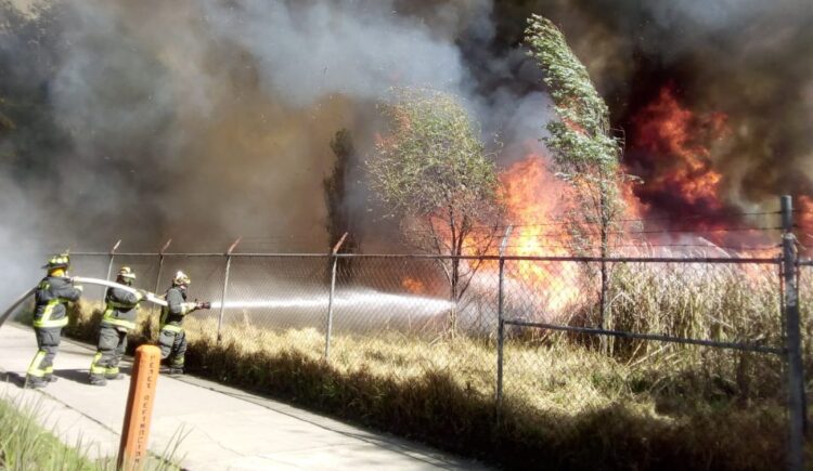 Al alza incendios de pastizales en Victoria: Protección Civil