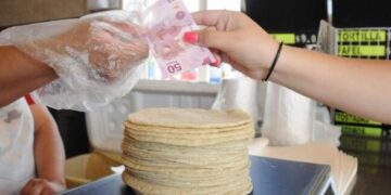Prevén doble incremento al precio de la tortilla este año