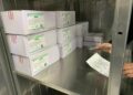 Vacunan a 26 mil adultos mayores en Tamaulipas