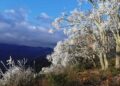 En Victoria, se pinta de blanco el Mirador Altas Cumbres