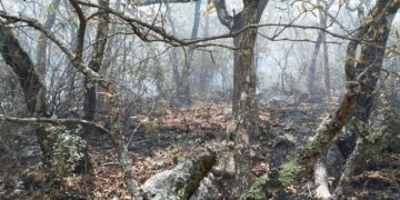 Reserva ecológica de Tamaulipas está en riesgo por la sequía