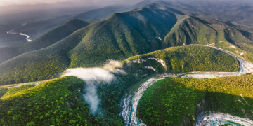 «La niña»  podría provocar catástrofe natural en bosques de Tamaulipas