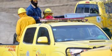 Controlados al 50% dos incendios forestales en Tamaulipas