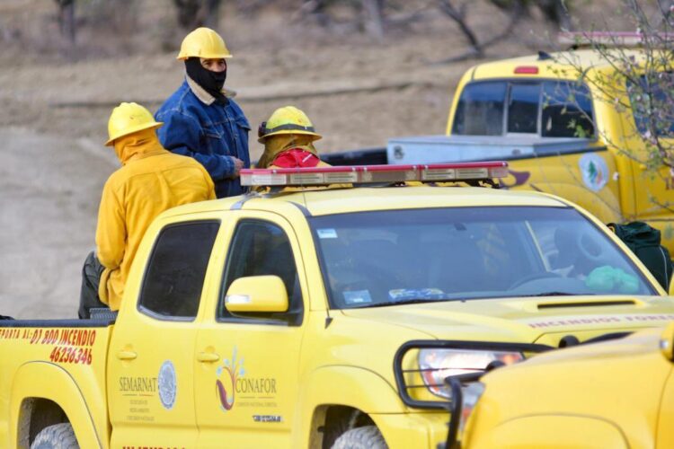 Controlados al 50% dos incendios forestales en Tamaulipas