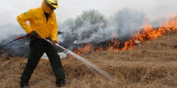Calor provoca incendios de pastizales en Tamaulipas