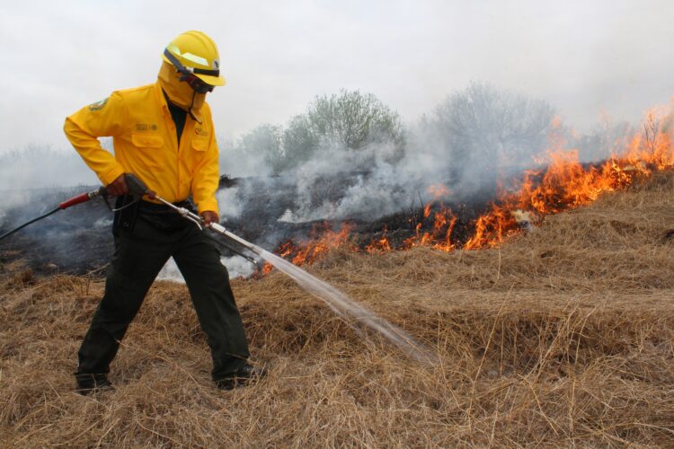 Calor provoca incendios de pastizales en Tamaulipas