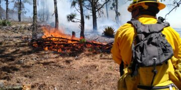 Voraz incendio forestal de Nuevo León «no brinca» a Tamaulipas