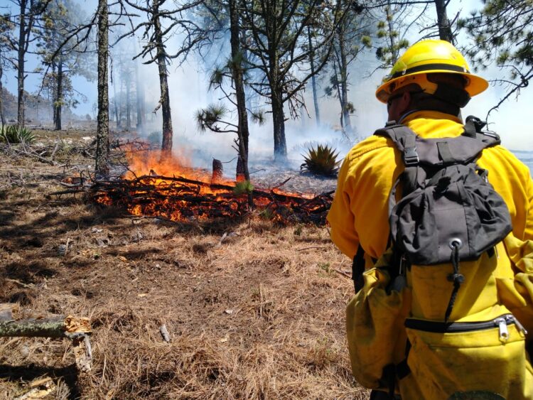 Voraz incendio forestal de Nuevo León «no brinca» a Tamaulipas