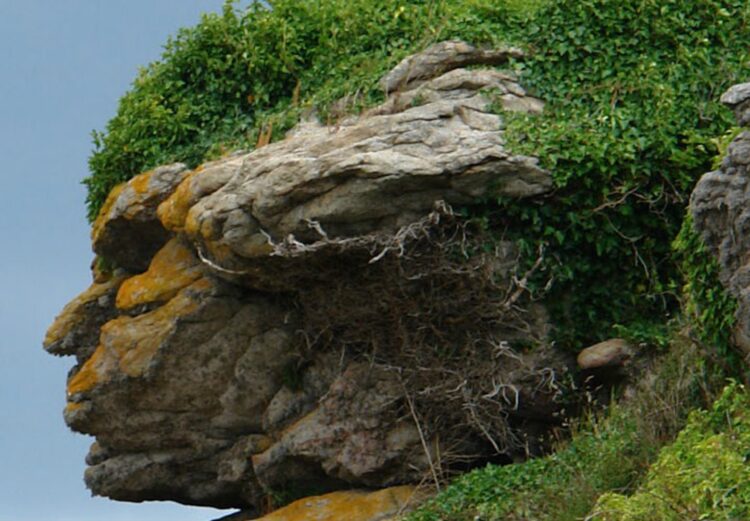 Pareidolia: cuando los objetos tienen rostro, explicado por la ciencia