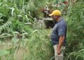 Se escapan 2 cocodrilos en río del centro de Victoria