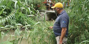 Se escapan 2 cocodrilos en río del centro de Victoria