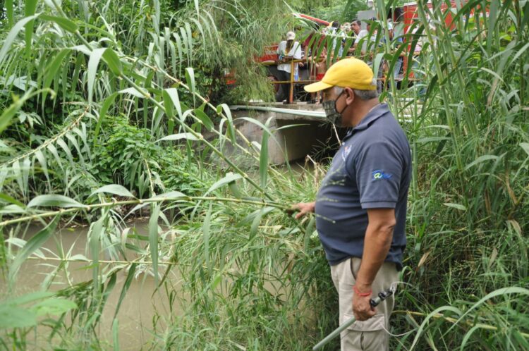 Se escapan 2 cocodrilos en río del centro de Victoria