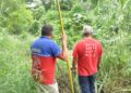 Se escapan 2 cocodrilos en río del centro de Victoria
