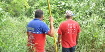 Se escapan 2 cocodrilos en río del centro de Victoria