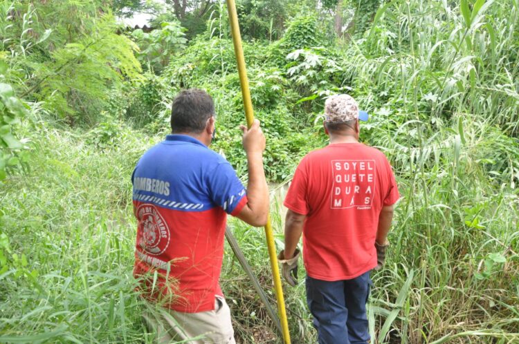 Se escapan 2 cocodrilos en río del centro de Victoria