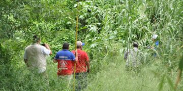 Se escapan 2 cocodrilos en río del centro de Victoria