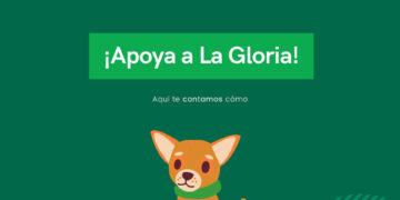 Refugio en Tamaulipas ofrece 200 mascotas en adopción