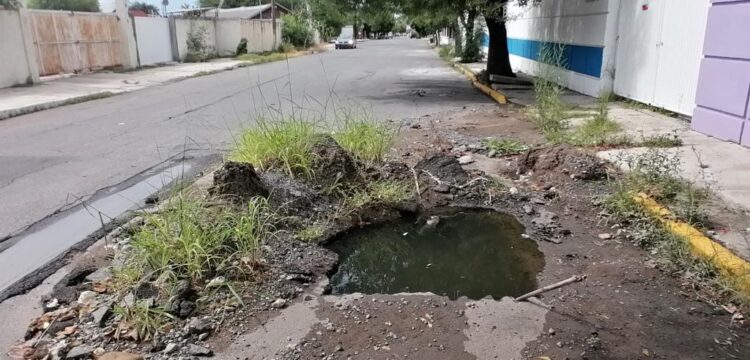 Se forma socavón en una calle de Ciudad Victoria
