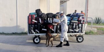 En Tamaulipas, Coparmex se opone a la militarización de la Guardia Nacional