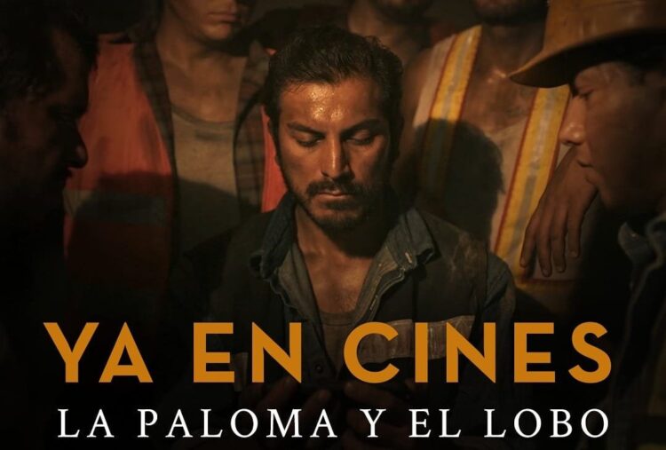 Reabre la Cineteca Tamaulipas con el filme «La Paloma y el Lobo»