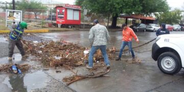 Tiran 30 toneladas de basura en canales pluviales de Ciudad Madero