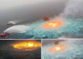 Explota un ducto de Pemex en el Golfo de México y causa desastre ecológico