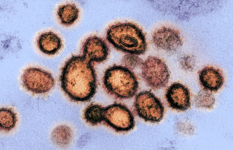 EU concluye que el coronavirus no fue diseñado como arma biológica