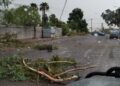 Olaf deja caos en Baja California Sur