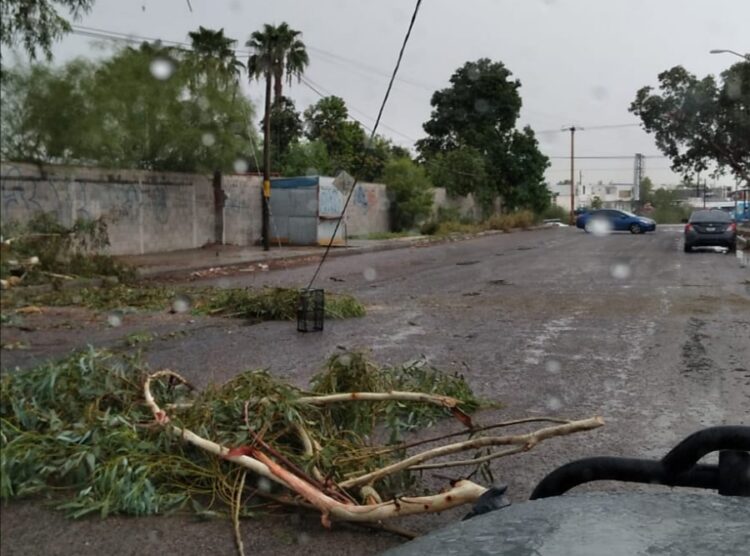 Olaf deja caos en Baja California Sur