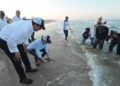 Libera Gobernador de Tamaulipas tortugas en playa La Pesca