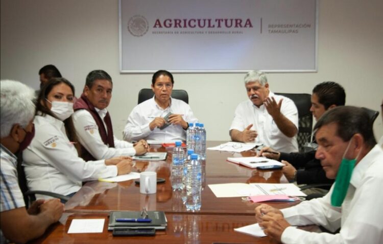 Impulsa Federación el bienestar en el campo con más de 550 mdp: Rodolfo González Valderrama