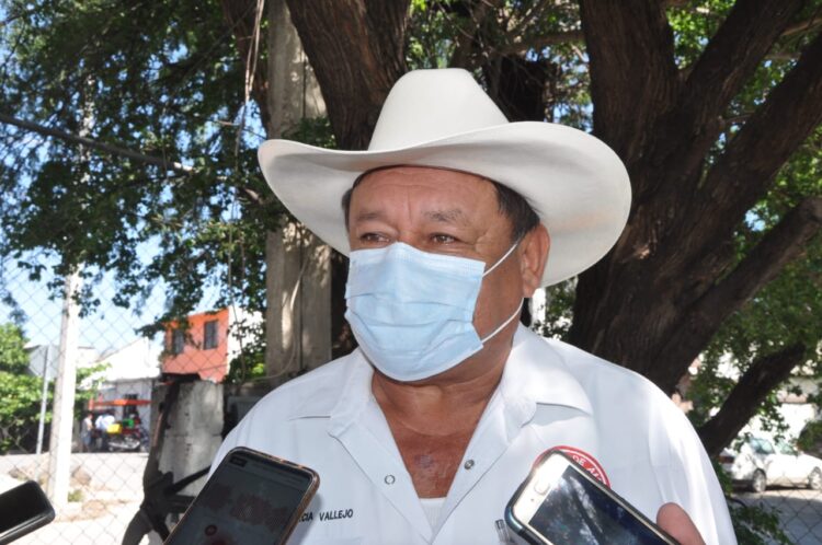 Campesinos de Tamaulipas legalizarán 150 mil vehículos