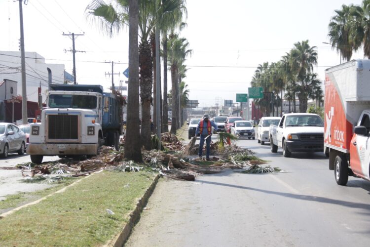 Refuerza Gobierno de Lalo Gattás acciones de mejoramiento urbano