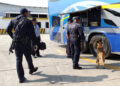 Vigilan central camionera de Victoria con perros entrenados