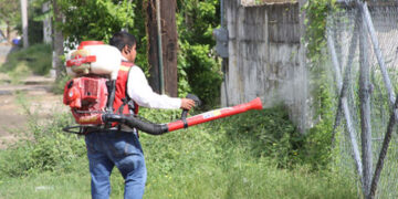 Controla Tamaulipas al dengue: sólo 17 casos en el 2021
