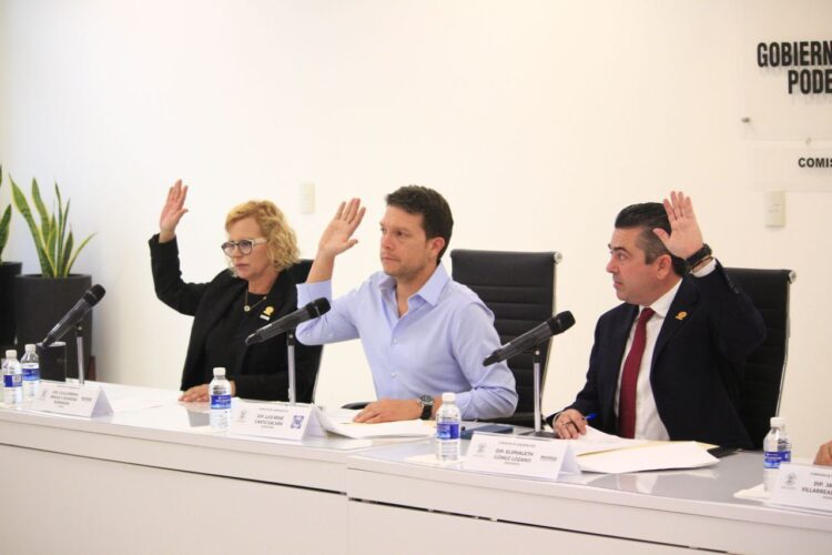 Suspensión de cambio de placas en Tamaulipas es «electorero»: PAN