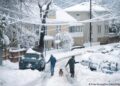 (Video) Tormenta de nieve afecta al norte de California
