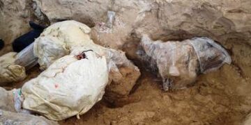En el nuevo panteón municipal de Los Reyes de Juárez se rescató una defensa casi completa y otra fragmentada, así como partes del cráneo y la pelvis.