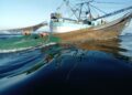 En Mazatlán, aseguran barco que pescaba tortugas
