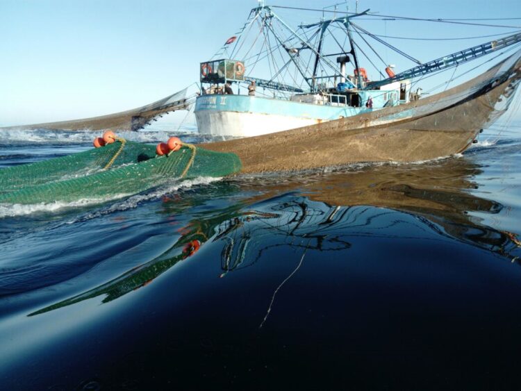 En Mazatlán, aseguran barco que pescaba tortugas