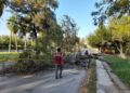 Recuentan daños a árboles y vehículos por ventarrones en Victoria
