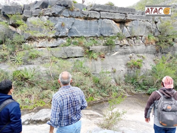 Encuentran petroglifos de Mamut en Tamaulipas