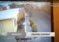 Aterrador: Decenas de pájaros caen muertos sin razón en Chihuahua (Video)