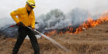 El cambio climático acelera los incendios forestales en Tamaulipas