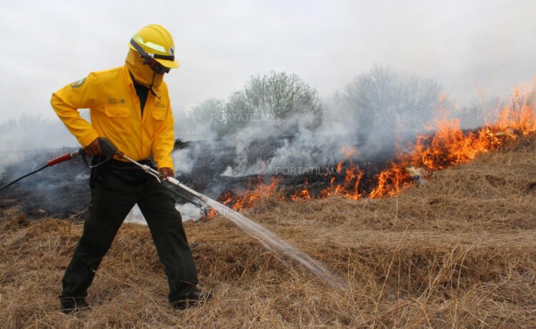 El cambio climático acelera los incendios forestales en Tamaulipas
