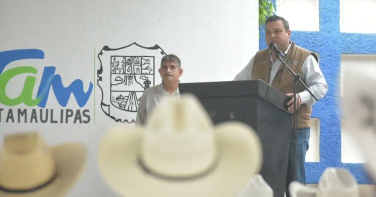 Sequía aun no afecta la siembra de sorgo en Tamaulipas
